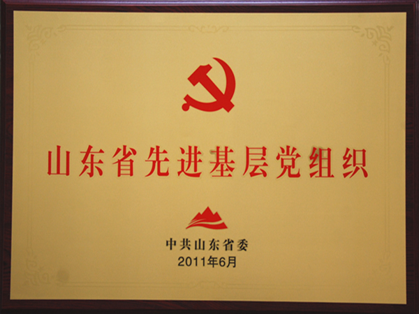 山东省先进基层党组织