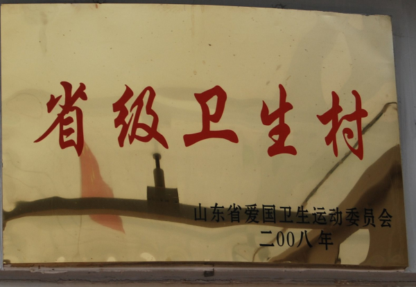 山东省-2008-省级卫生村.jpg