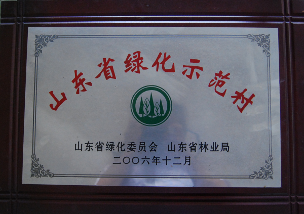 山东省-2006.12-山东省绿化示范村.jpg