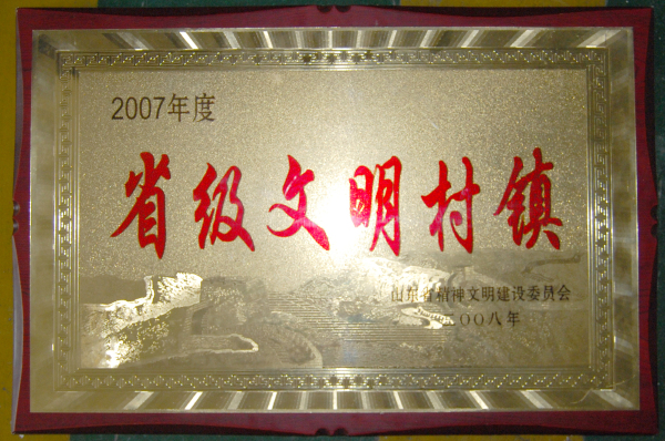 山东省-2008-2007年度省级文明村镇.jpg