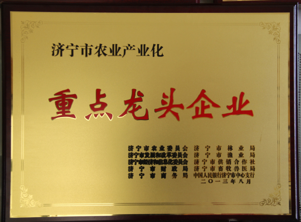 2014.12.12-济宁市-2013.8-济宁市农业产业化重点龙头企业.jpg