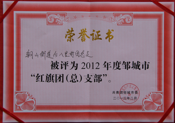 2015.11.13-邹城市-2013.2-2012年度“红旗团（总）支部”.jpg