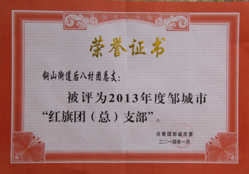 2015.11.21-邹城市-2014.1-2013年度邹城市红旗团总支部.jpg