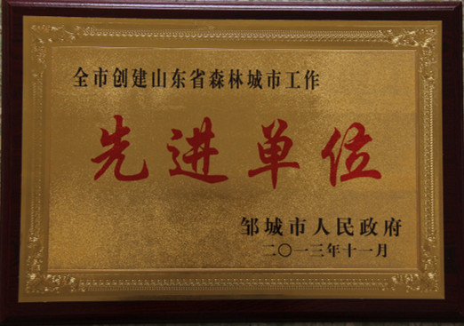 2015.11.20-邹城市-2013.11-全市创建山东省森林城市先进单位.jpg