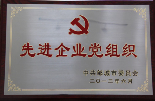 2015.11.18-邹城市-2013.6-先进企业党组织.jpg