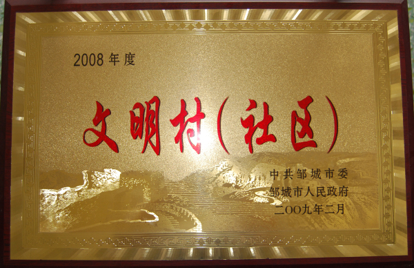 2015.10.28-邹城市-2009.2-2008年度文明村社区.jpg