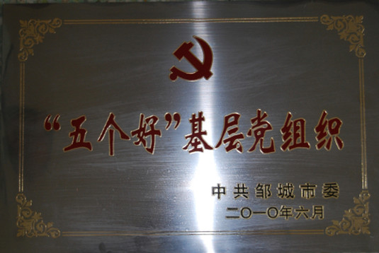 2015.11.09-邹城市-2010.6-“五个好”基层党组织.jpg