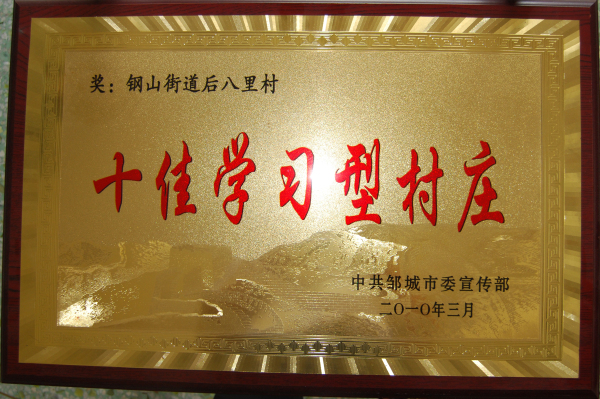 2015.11.06-邹城市-2010.3-十佳学习型村庄.jpg