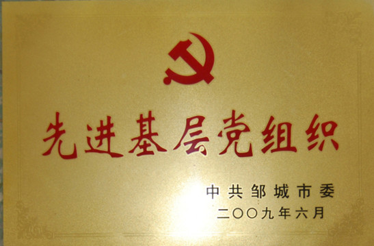 2015.10.29-邹城市-2009.6-先进基层党组织.jpg