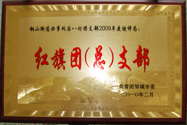 2015.11.01-邹城市-2010.3-2009年度红旗团（总）支部.jpg