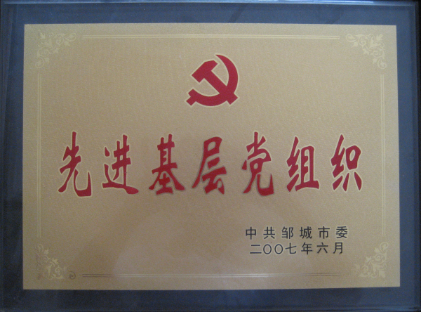 2015.10.23-邹城市-2007.6-先进基层党组织.jpg