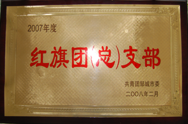 2015.10.24-邹城市-2008.2-2007年度红旗团（总）支部.jpg