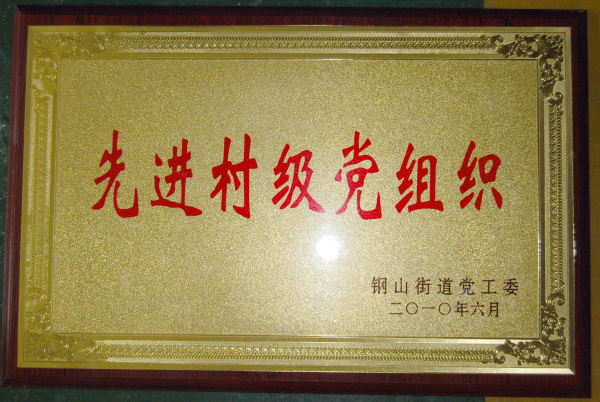 2015.10.04-钢山街道-2010.6-先进村级党组织.jpg