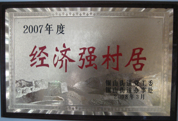 2015.09.14-钢山街道-2008.3-2007年度经济强村居.jpg