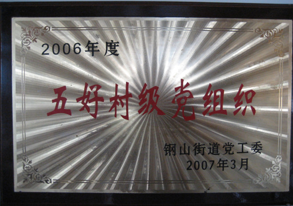 2015.09.09-钢山街道-2007.3-2006年度五好村级党组织.jpg