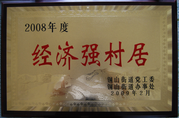 2015.09.21-钢山街道-2009.2-2008年度经济强村居.jpg