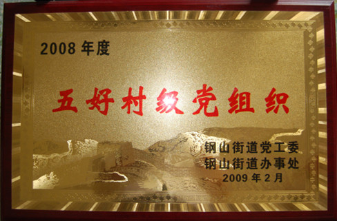 2015.09.24-钢山街道-2009.2-2008年度五好村级党组织.jpg