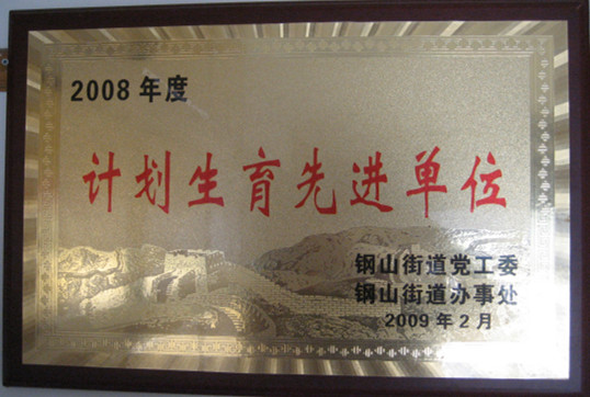 2015.09.20-钢山街道-2009.2-2008年度计划生育先进单位.jpg
