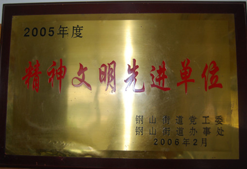 2015.09.02-钢山街道-2006.2-2005年度精神文明先进单位.jpg