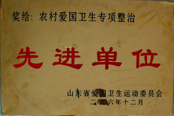 2015.12.18-山东省-2006.12-农村爱国卫生专项整治先进单位.jpg