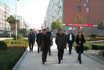 01.jpg