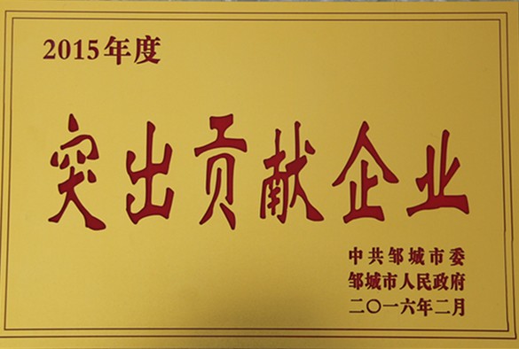 村-突出贡献企业-2016.2-邹城市人民政府_副本.jpg