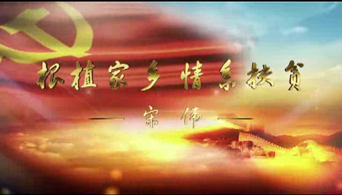 省优秀共产党员宋伟事迹报道——根植家乡 情系扶贫