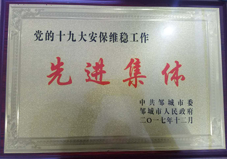 十九大维稳先进集体_副本_副本.jpg