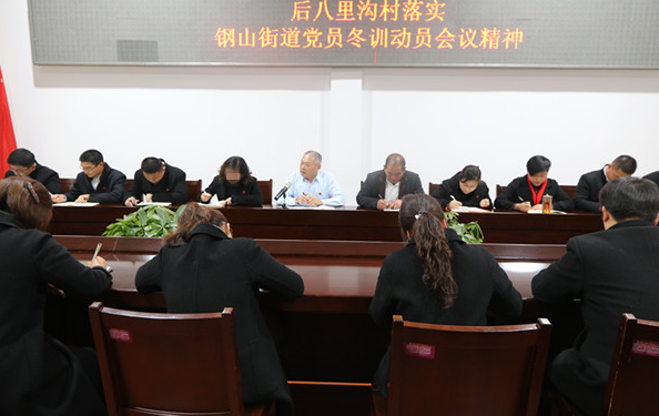 1月3日，后八里沟村组织召开《落实钢山街道党员冬训动员会议精神》主题会议.png