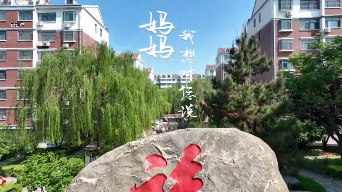 母亲节活动