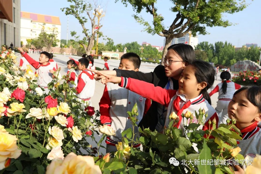 微信图片_20230502202925.jpg