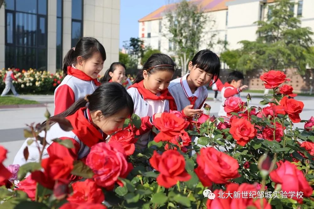 微信图片_20230502202917.jpg
