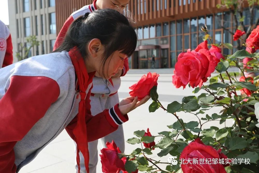 微信图片_20230502202920.jpg
