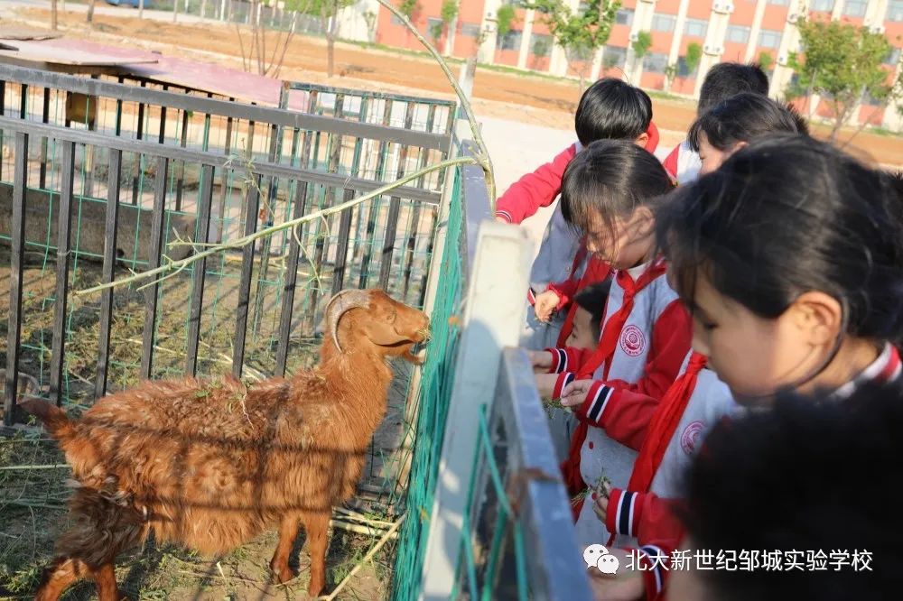 微信图片_20230502202707.jpg
