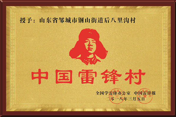 国家-2018.3-中国雷锋村.png
